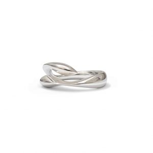 Silverfish ring